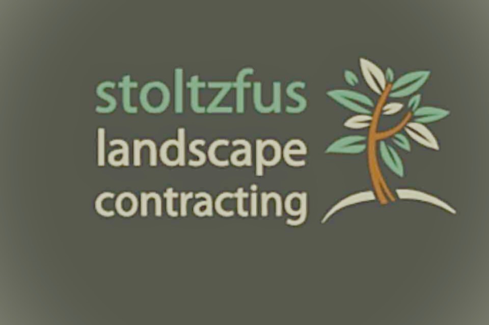 Logo Placeholder